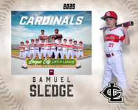 A.Crenshaw.Cardinals_Sledge_Samuel_143A1951_MM_MM