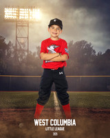 JR MINOR WOODPECKERS_Solis_Slayton_WC010972_FIELD LIGHTS_