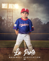 4U_Foal_Phillies_Martinez_Wade_LP022799_FIELDLIGHTS