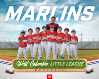 MINORS MARLINS