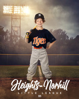 PW_TIGERS_George_Theodore_HN010166_FIELDLIGHTS