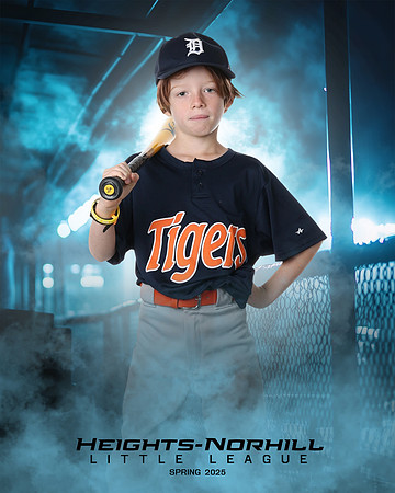 PW_TIGERS_George_Theodore_HN010167_DUGOUT