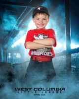 JR MINOR WOODPECKERS_Jenkins_Carter_WC010946_DUGOUT_