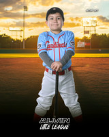 TB_ CARDINALS_Leal_Levi_143A3240_SUNSHINE