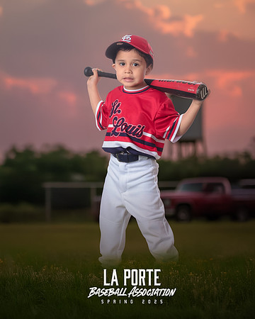 4U_Foal_Cardinals_Chavez_Zed_LP022530_TRUCK