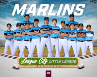 MJR.Dickson.Marlins_NO BG