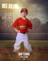 M3_ Cardinals_Bain_Rhett