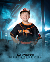 4U_Foal_Orioles_Jarvis_Ryder_LP010393_DUGOUT