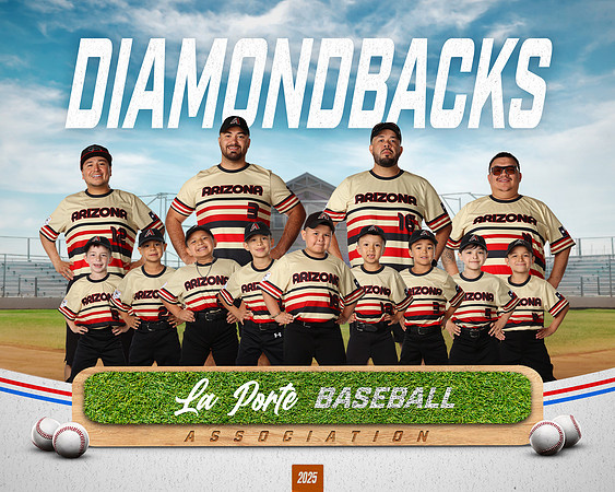 6U_Shetland_Diamondbacks_Rodriguez_Abraham