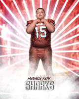 JUNIOR_Sanchez_Fabian_IMGL1394_LAZER_