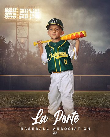 4U_Foal_Athletics_Gallardo_Orion_LP010668_FIELDLIGHTS