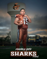 JUNIOR_Sanchez_Fabian_IMGL1398_WATER TOWER_