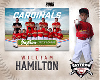 M3_CARDINALS_Hamilton_William_BAY28065_MM