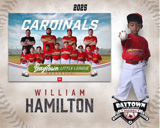 M3_CARDINALS_Hamilton_William_BAY28065_MM
