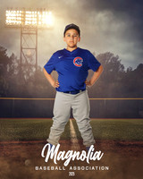 9_10U_Cubs_Hans_Anson_MAG12382_FIELD LIGHTS_