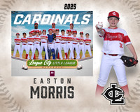 MJR.Powell.Cardinals_Morris_Easton_143A1846_MM
