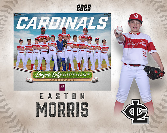 MJR.Powell.Cardinals_Morris_Easton_143A1846_MM