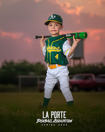 4U_Foal_Athletics_Alanis_Luka_LP010718_TRUCK
