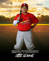 MJR_Cardinals_Guerrero_Damian_BAY29717_SUNSHINE
