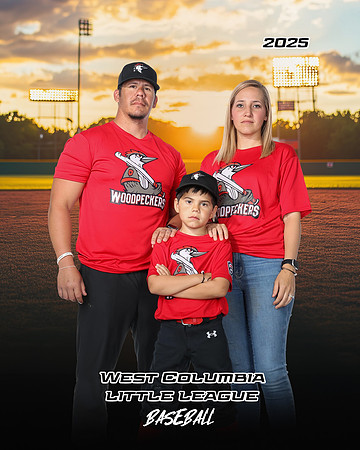 JR MINOR WOODPECKERS_Solis_Slayton_WC010988_MULTIS