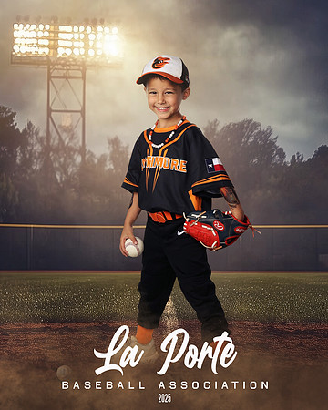 4U_Foal_Orioles_Newell_Ripp_LP010368_FIELDLIGHTS