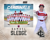 A.Crenshaw.Cardinals_Sledge_Samuel_143A1956_MM_MM