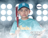 CP8_BRUINS_Cordero_Alan_DLL20392_LIT