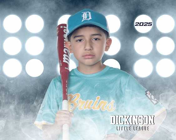 CP8_BRUINS_Cordero_Alan_DLL20392_LIT