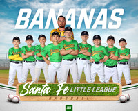MINORS_BANANAS_Bowman_Noah