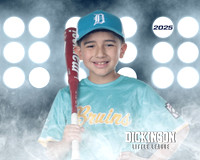 CP8_BRUINS_Cordero_Alan_DLL20391_LIT