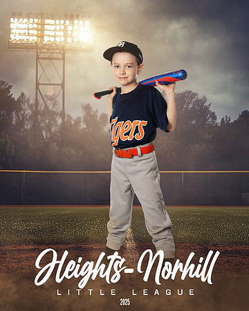 PW_TIGERS_Dees_Archer_HN010100_FIELDLIGHTS