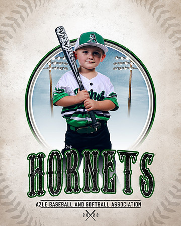 BB_04UFoal_Mobley_Mobley_Brody_CA1_8847_pastime_