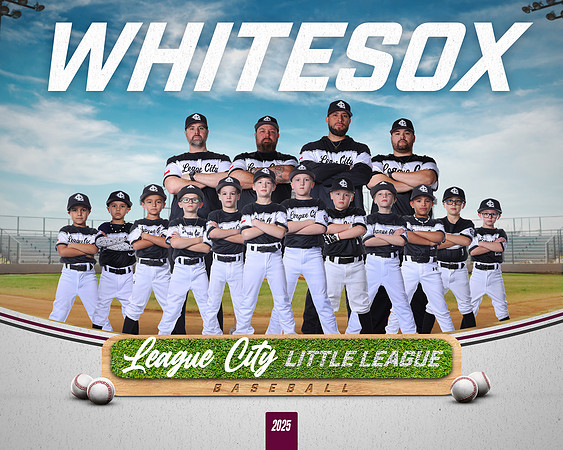 A.Johnston.WhiteSox_NO BG