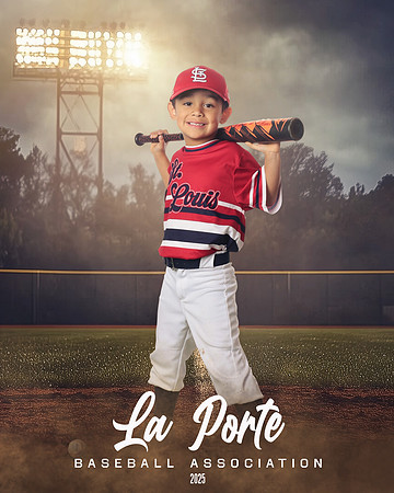 4U_Foal_Cardinals_Gonzalez_Alec_LP022618_FIELDLIGHTS