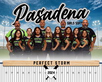 PERFECT STORM