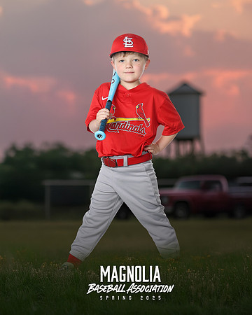 4_5U_Cardinals_Brami_Mason_MAG11656_TRUCK