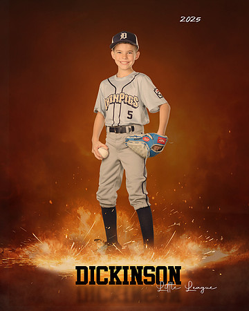 MINORS_IRONPIGS_Garner_Camden_DLL11568_ROF
