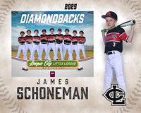 AA.Swartz.Diamondbacks_Schoneman_James_143A1495_MM_MM