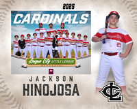 AAA.Lutz.Cardinals_Hinojosa_Jackson_143A1997_MM_MM
