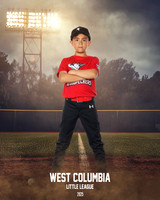 JR MINOR WOODPECKERS_Rios JR_Carlos_WC010999_FIELD LIGHTS_