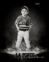 4U_Foal_Cardinals_Totten_William_LP022579_ROF_BW