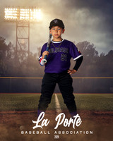 8U_Pinto_Rockies_Ortiz_Eyrem_LP011308_FIELDLIGHTS