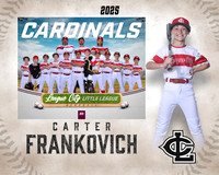 AAA.Lutz.Cardinals_Frankovich_Carter_IMG_1993_MM_MM