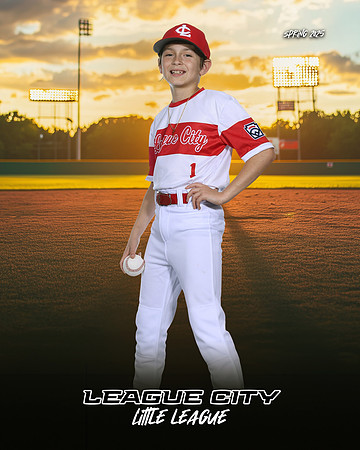 MJR.Powell.Cardinals_Bice_Landan_143A1734_SUNSHINE