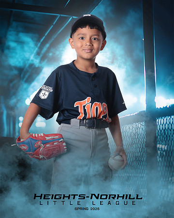TB_TIGERS_Hernandez_Mason_HN020927_DUGOUT