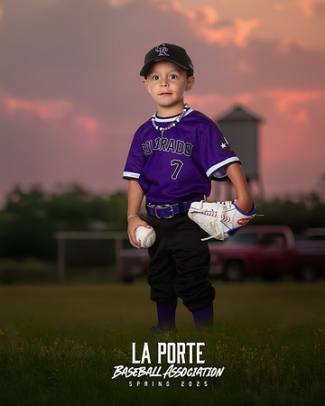 4U_Foal_Rockies_Hernandez_Levi_LP010231_TRUCK