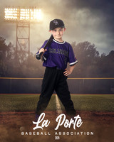 6U_Shetland_Rockies_Kime_Colt_LP023021_FIELDLIGHTS