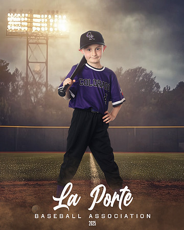 6U_Shetland_Rockies_Kime_Colt_LP023021_FIELDLIGHTS