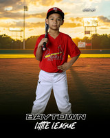 M3_ Cardinals_Camargo_Narsiso_BAY27979_SUNSHINE