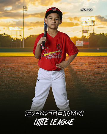 M3_ Cardinals_Camargo_Narsiso_BAY27979_SUNSHINE